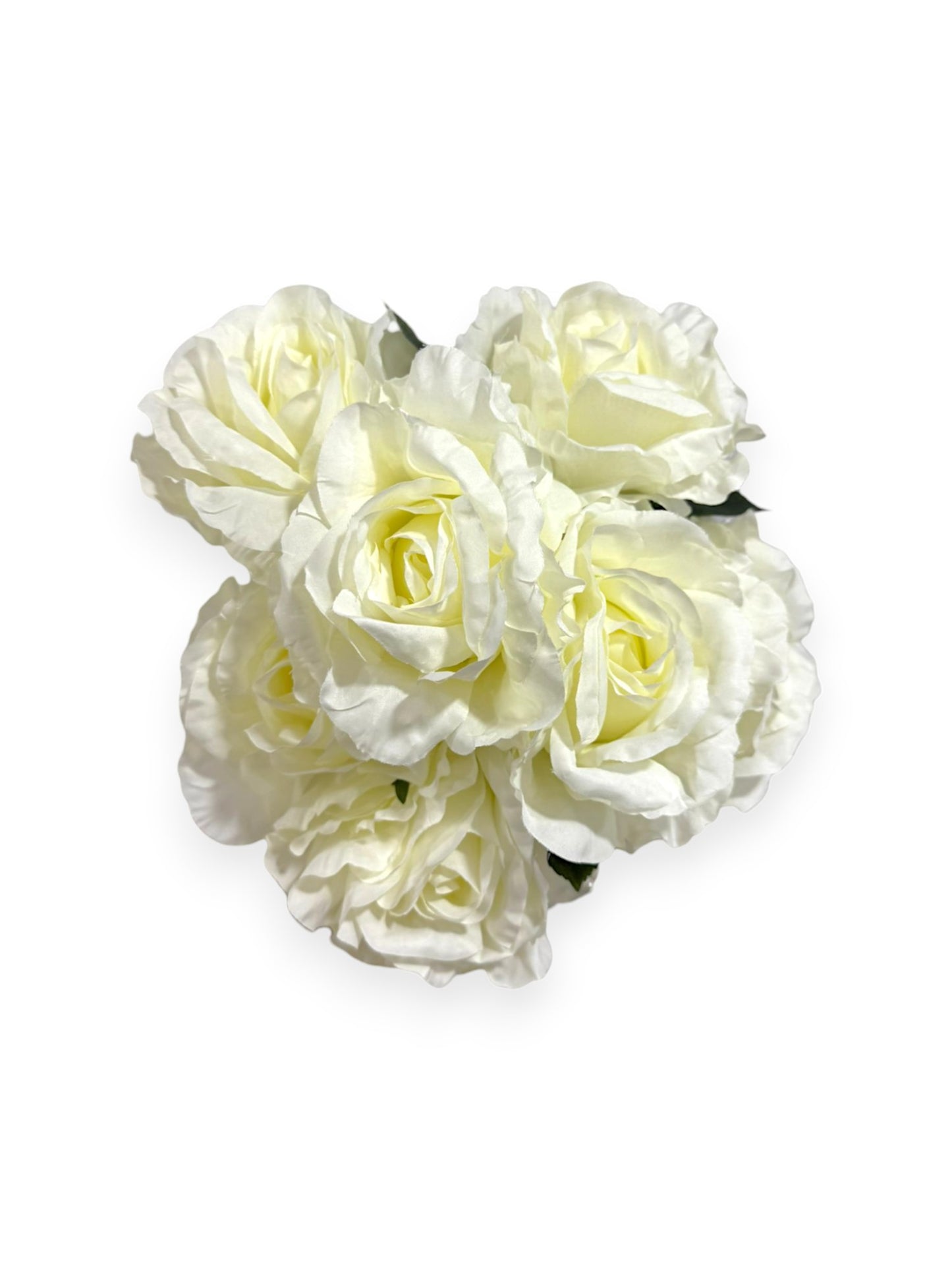ROSE BUSH X7 22"
