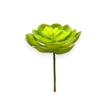 SUCCULENT 3.5"