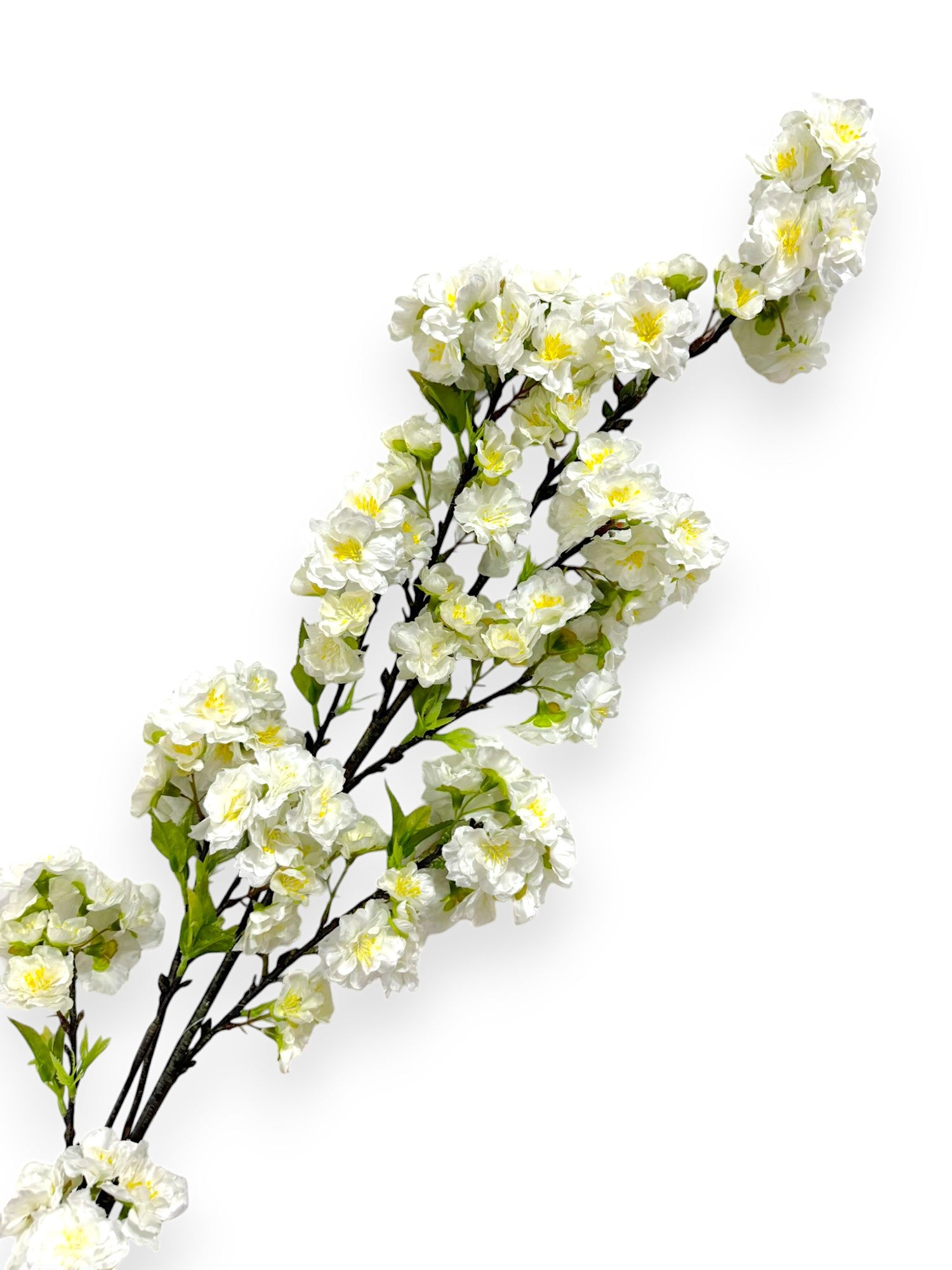 CHERRY BLOSSOM SPR 60"