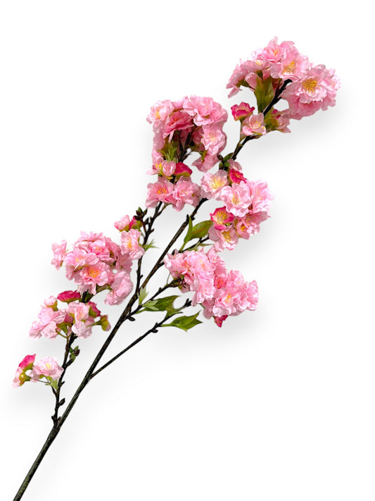 CHERRY BLOSSOM SPR 36"