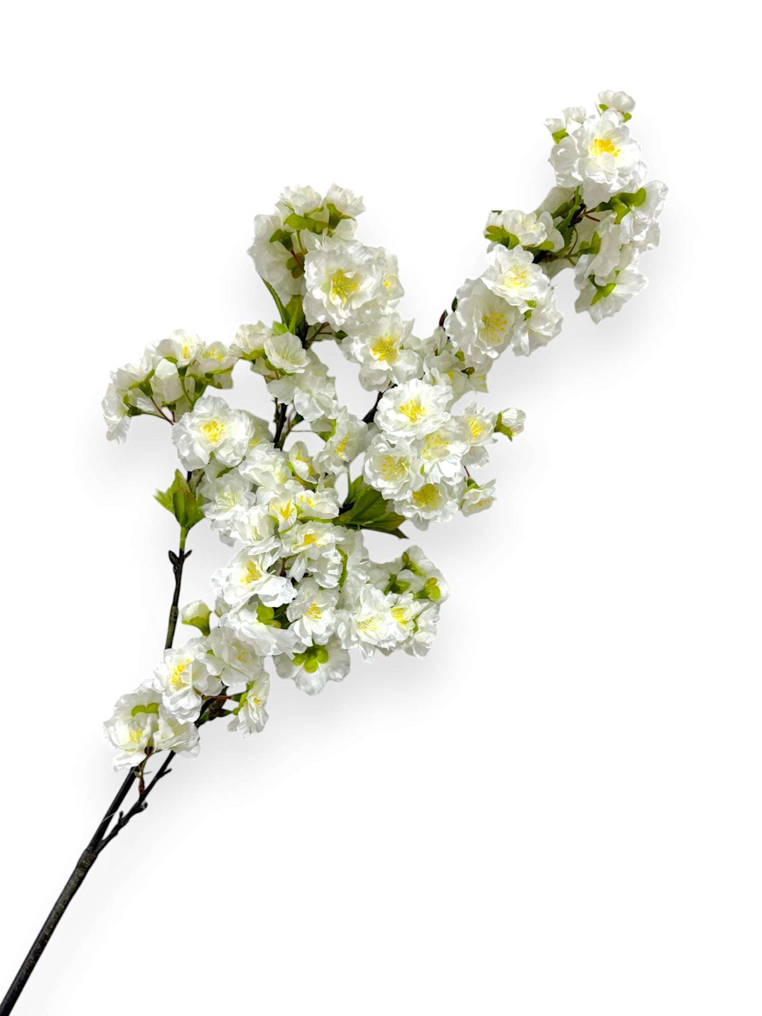 CHERRY BLOSSOM SPR 36"