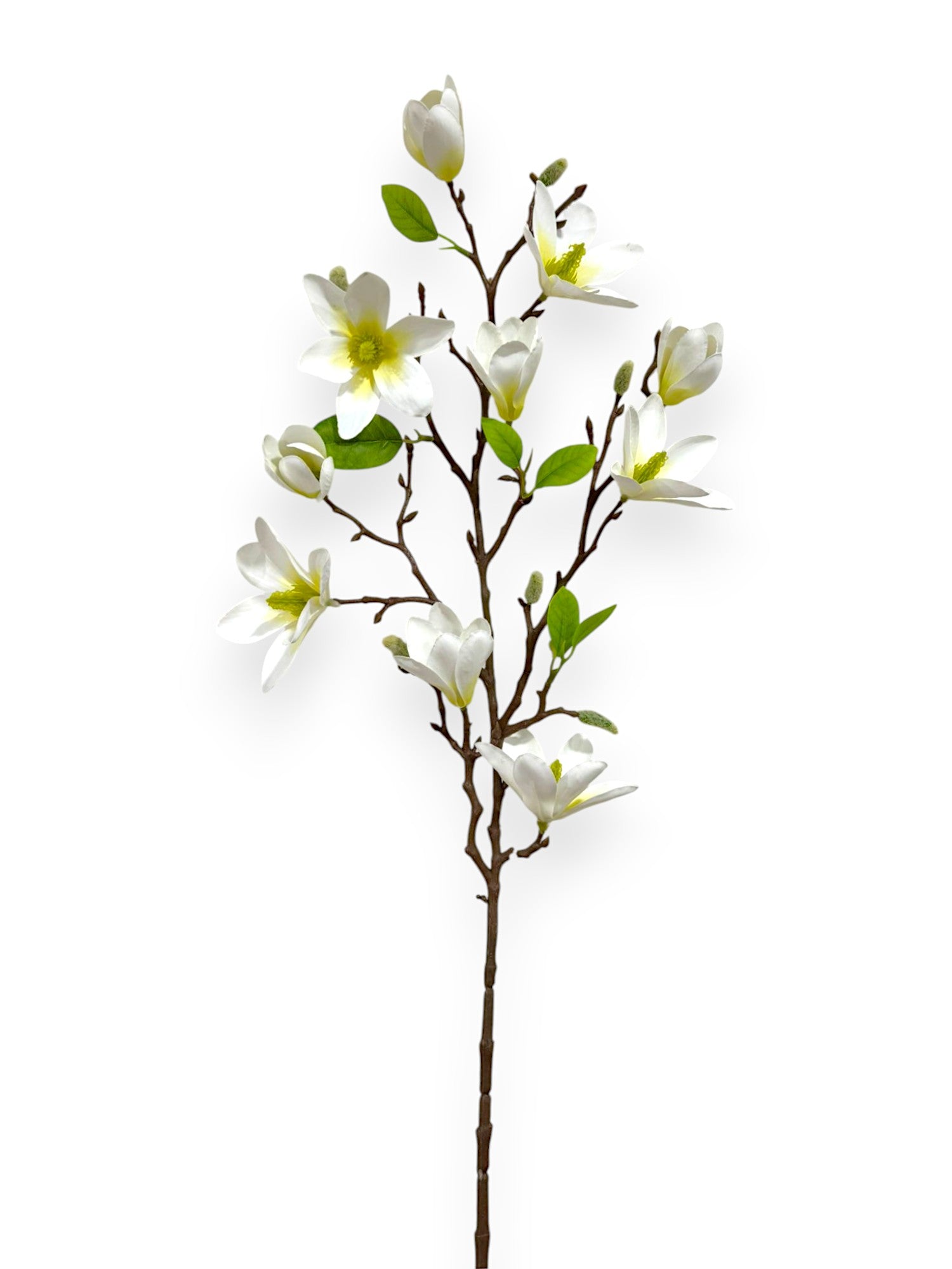 MAGNOLIA SPRAY 82CM