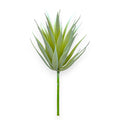 SUCCULENT AGAVE 4.5"