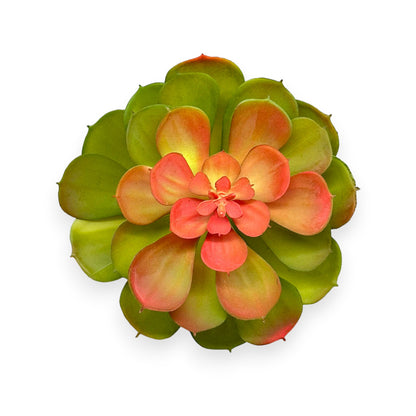 SUCCULENT 5.5"