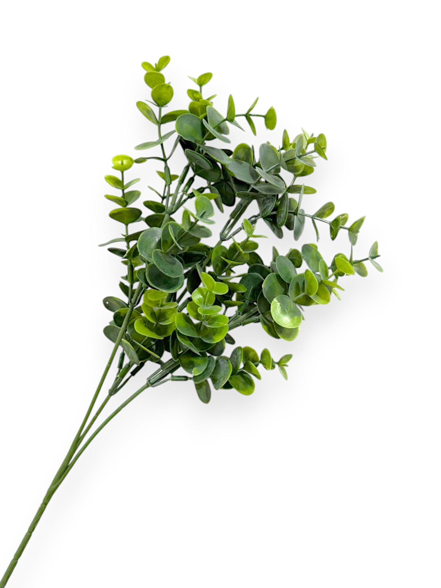 EUCALYPTUS LEAF SPR 64CM
