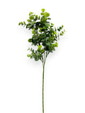 EUCALYPTUS LEAF SPR 64CM