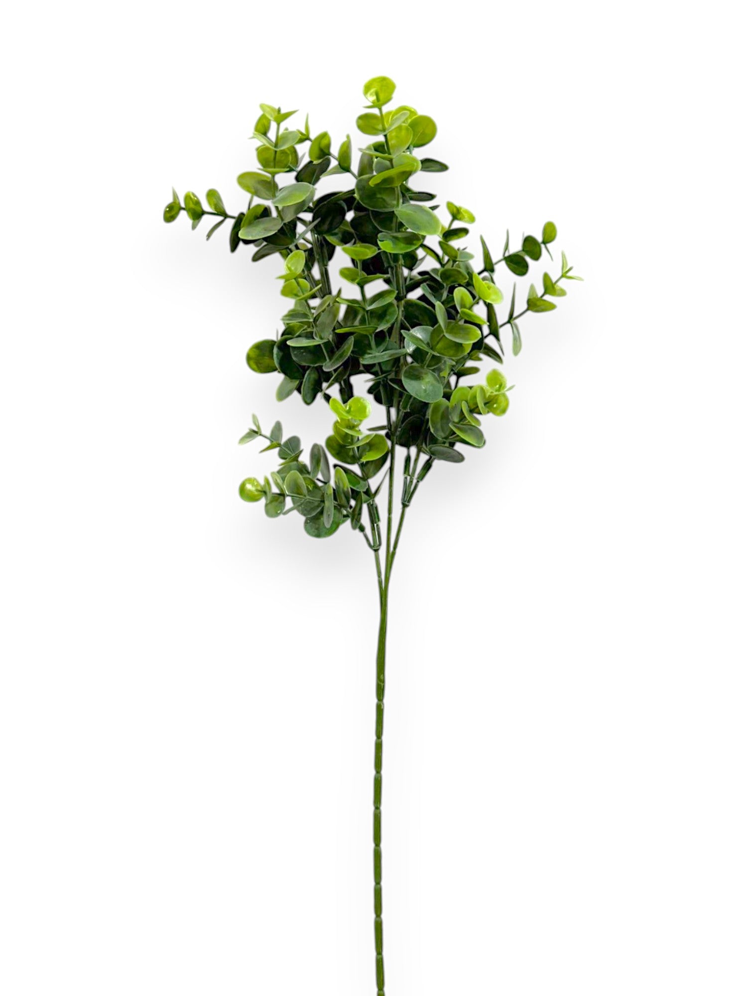 EUCALYPTUS LEAF SPR 64CM