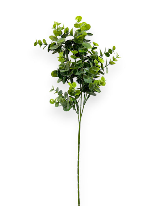 EUCALYPTUS LEAF SPR 64CM