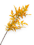 Maple leaf Spray 38"