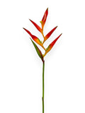 CRANE BANANAS MINIAT 32"