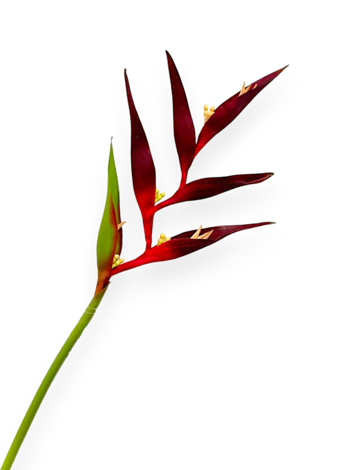 CRANE BANANAS MINIAT 32"