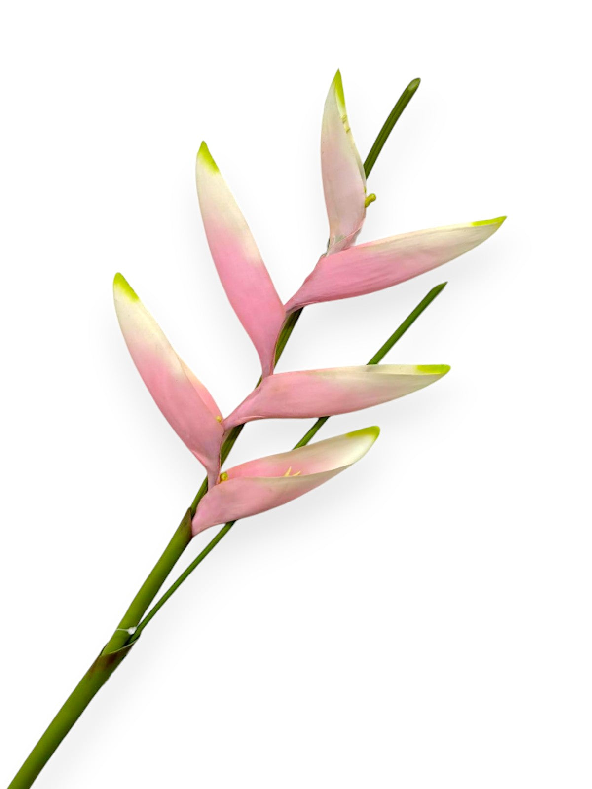CRANE BANANAS MINIAT 32"