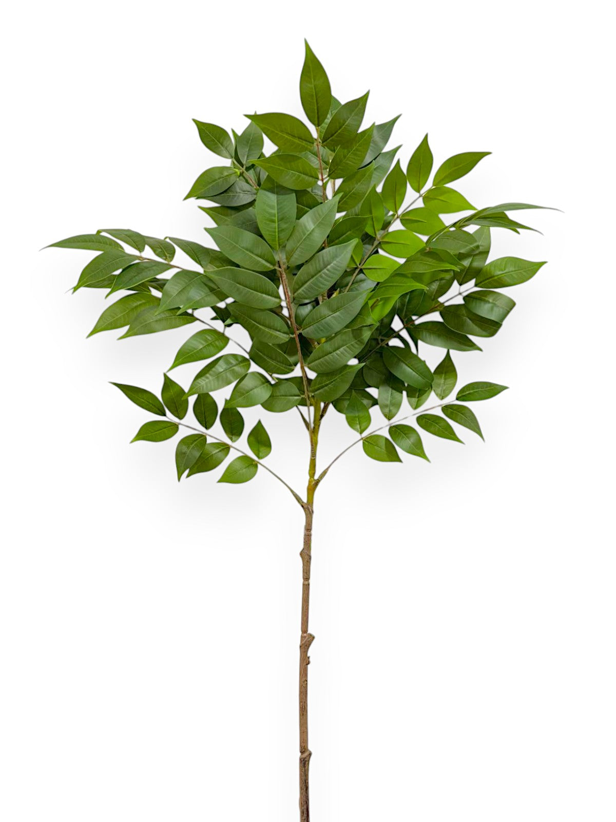 WISTERIA LEAF 36"