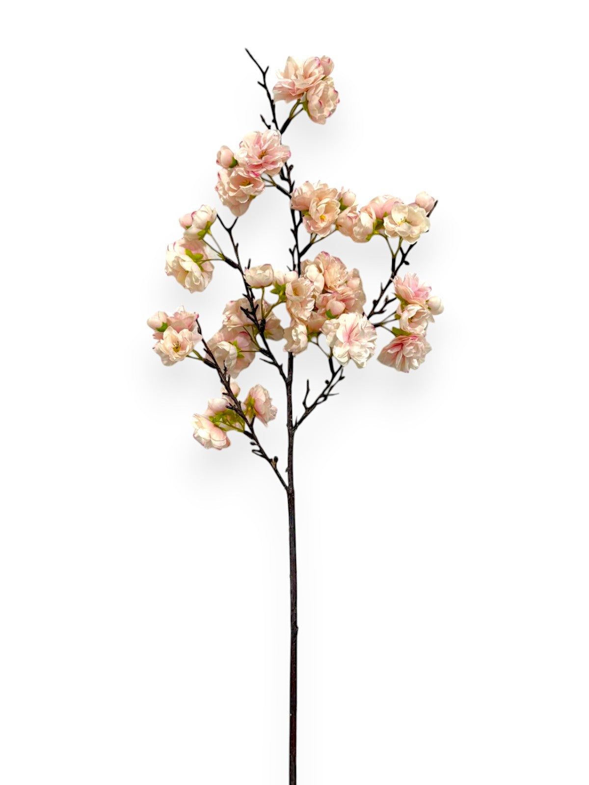 CHERRY BLOSSOMS 34"