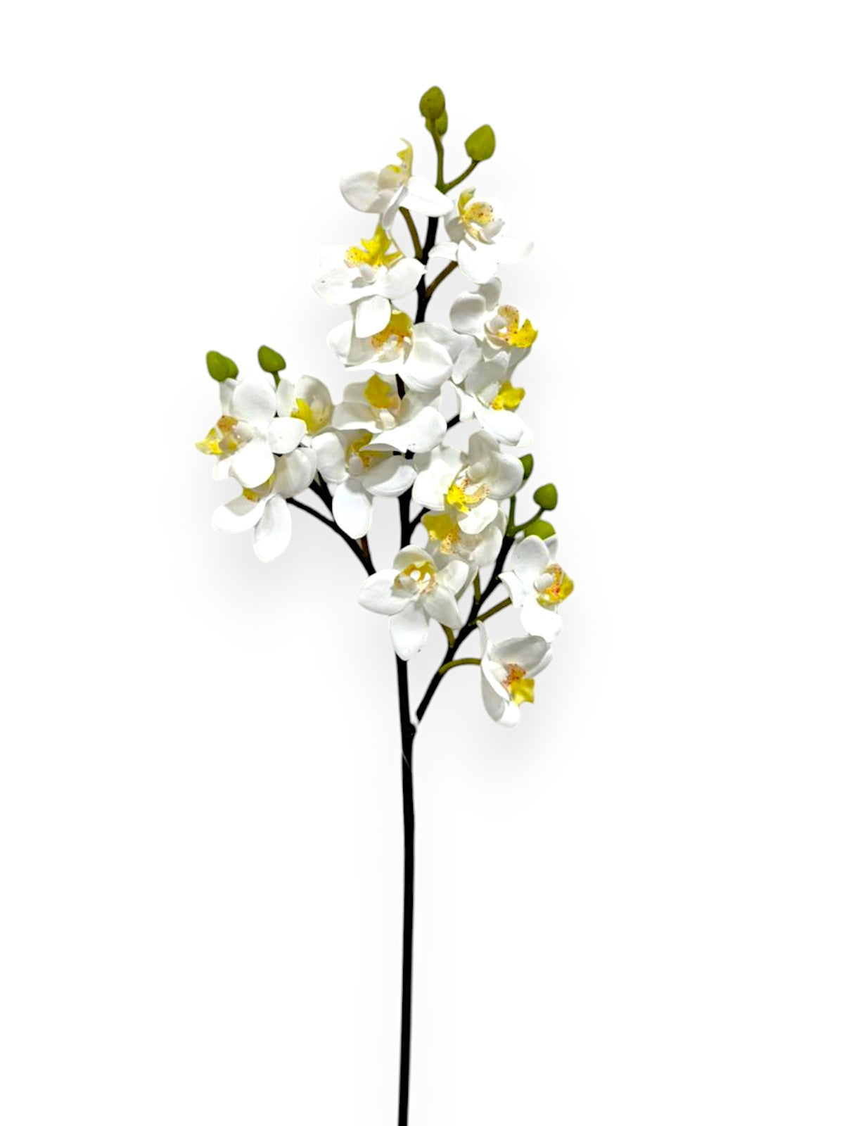 MINI PHALAENOPSIS X3 26"