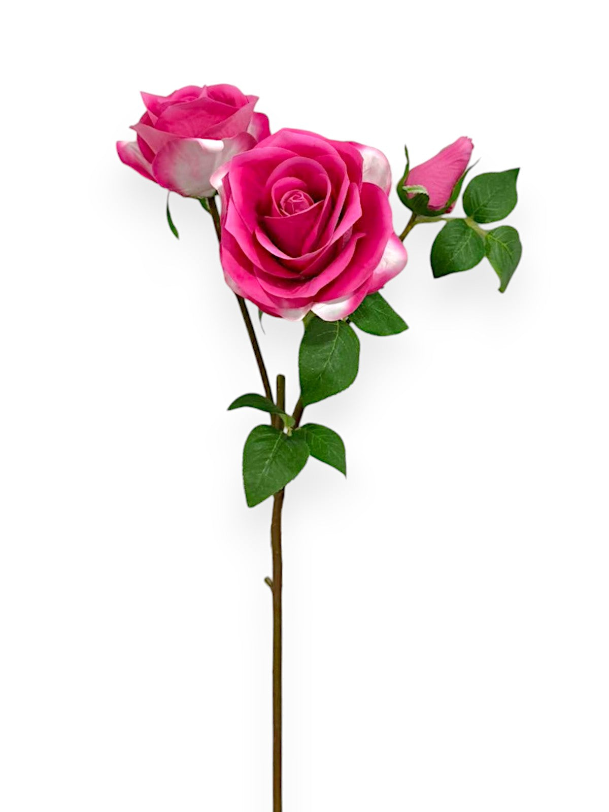 ROSE STEM 2F1B 22"