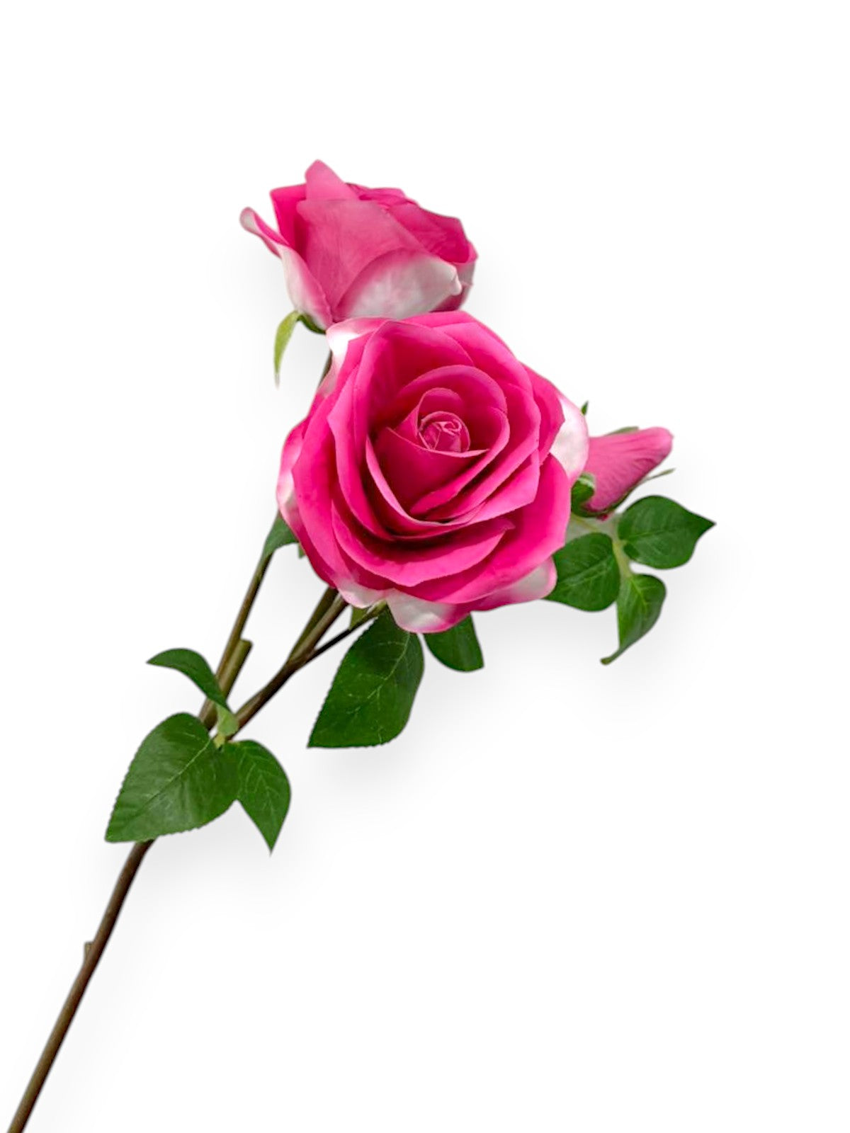 ROSE STEM 2F1B 22"