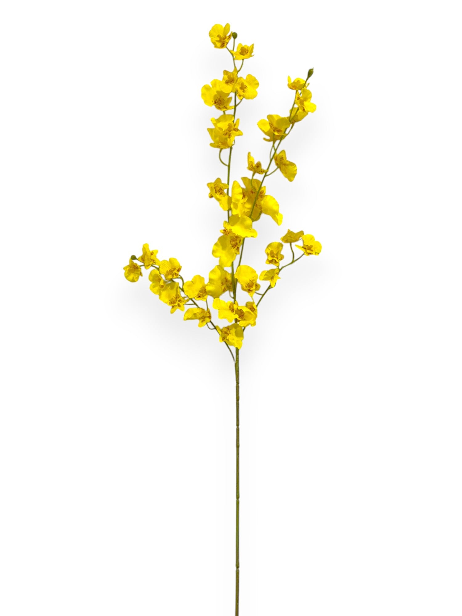 ONCIDIUM ORCHID 36"