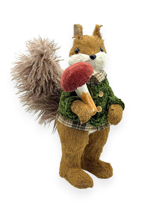 SQUIRRELS BOY 11.8X7X15.7