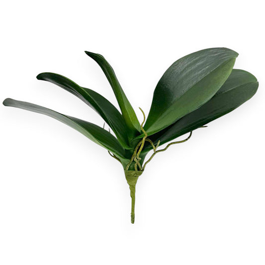 ORCHID PHAL. LEAF 10"