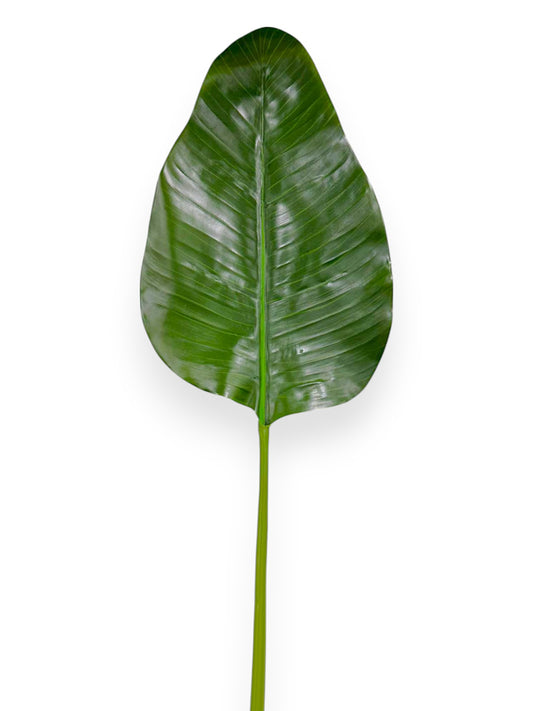 BIRD OF PARADISE LEAF 40"
