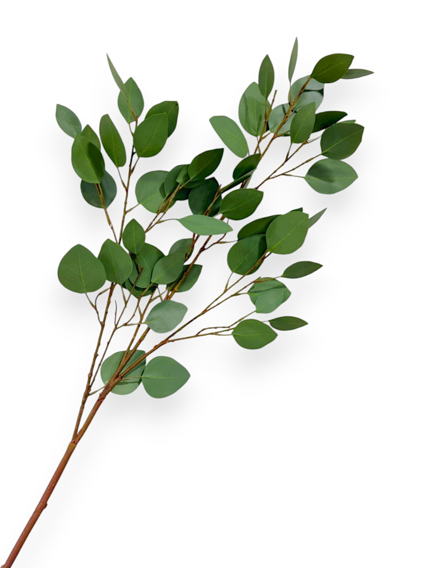 HEART EUCALYTUS STEM 42"