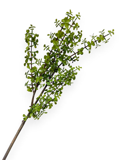 SPEKBOOM LEAF SPR 37"
