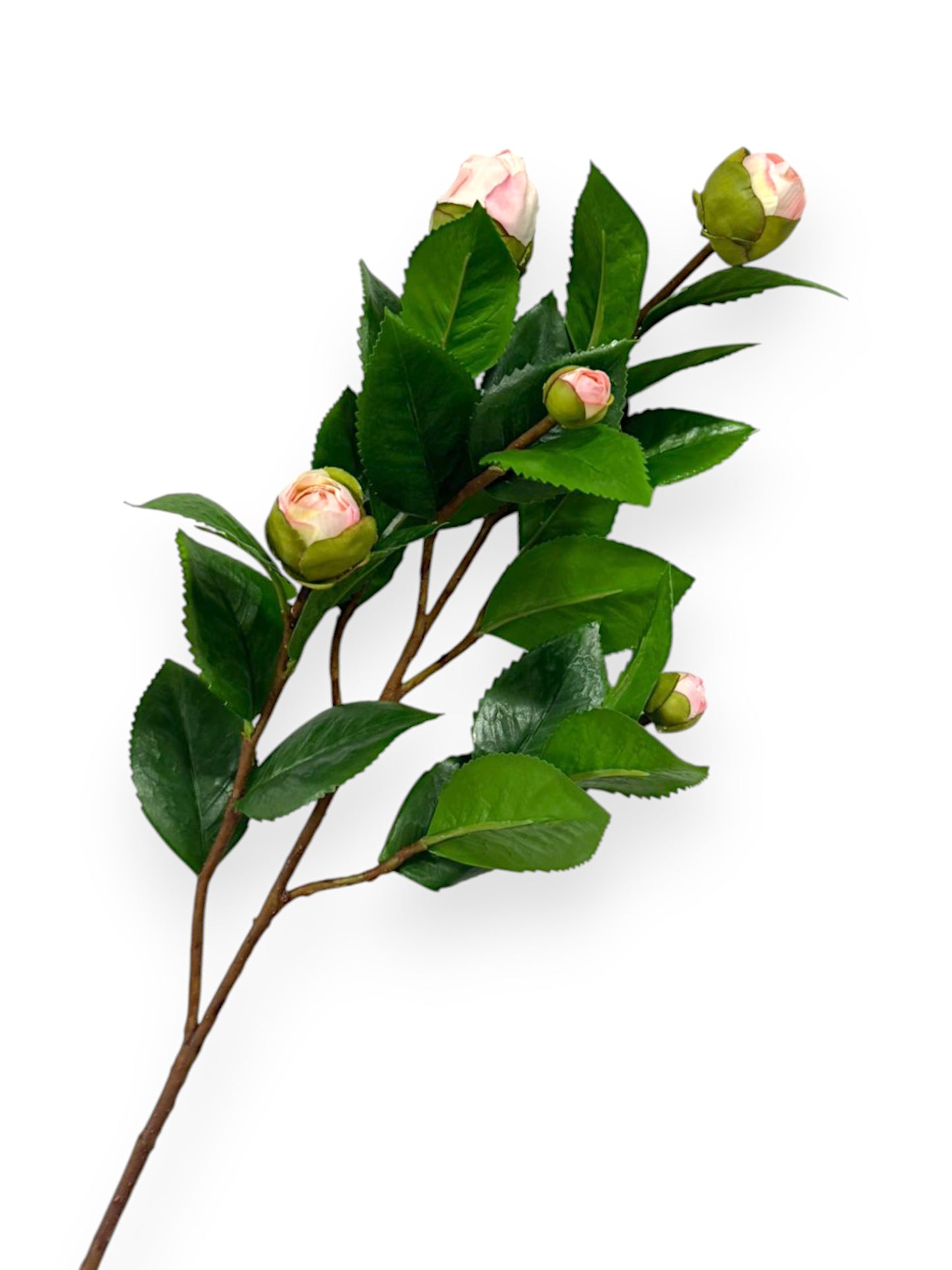 CAMELLIA BUD BRANCH 26"