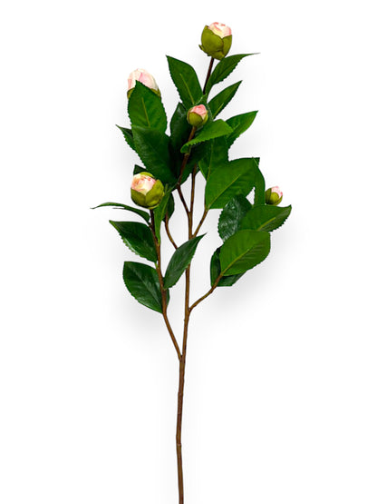 CAMELLIA BUD BRANCH 26"