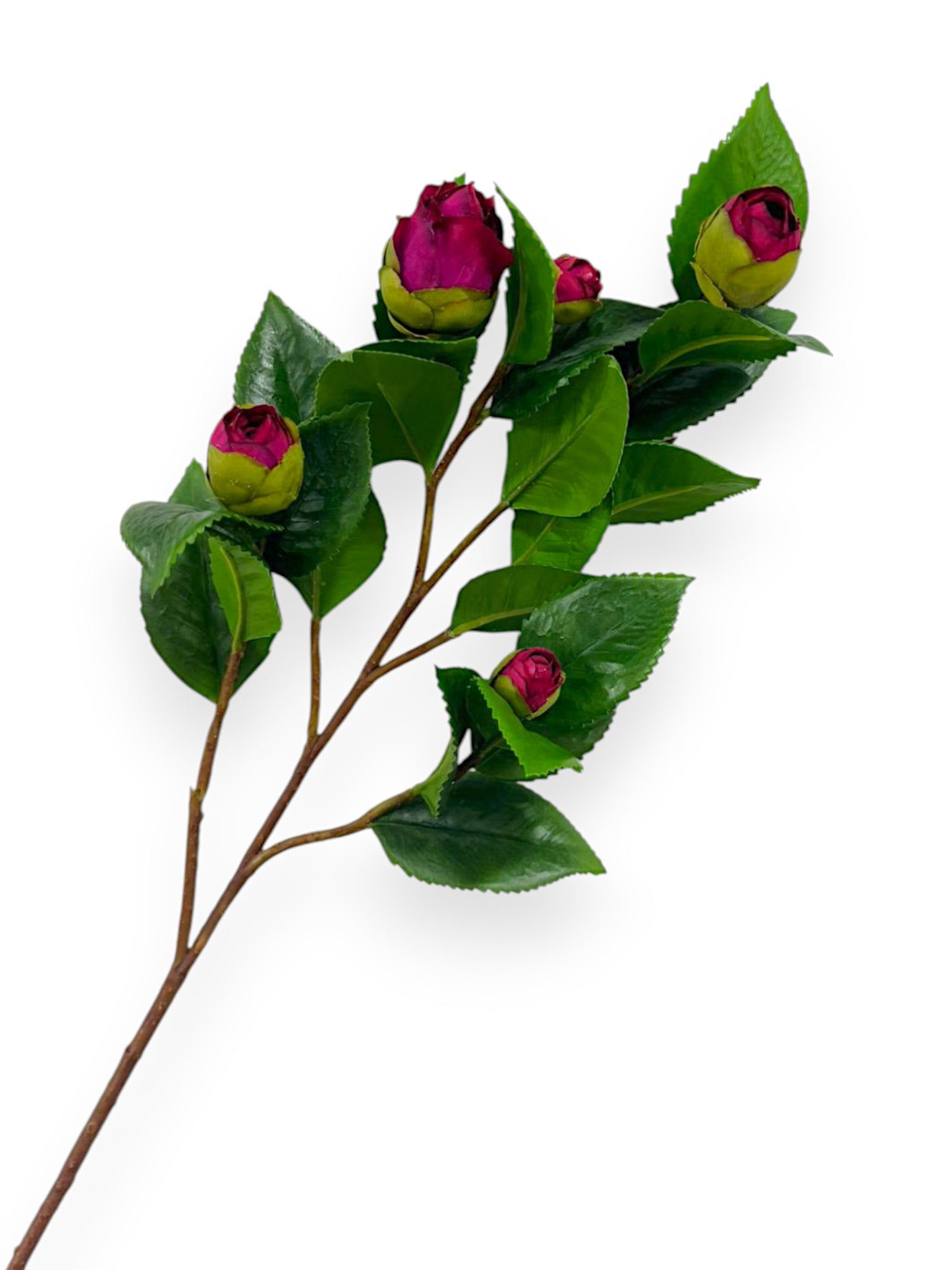CAMELLIA BUD BRANCH 26"