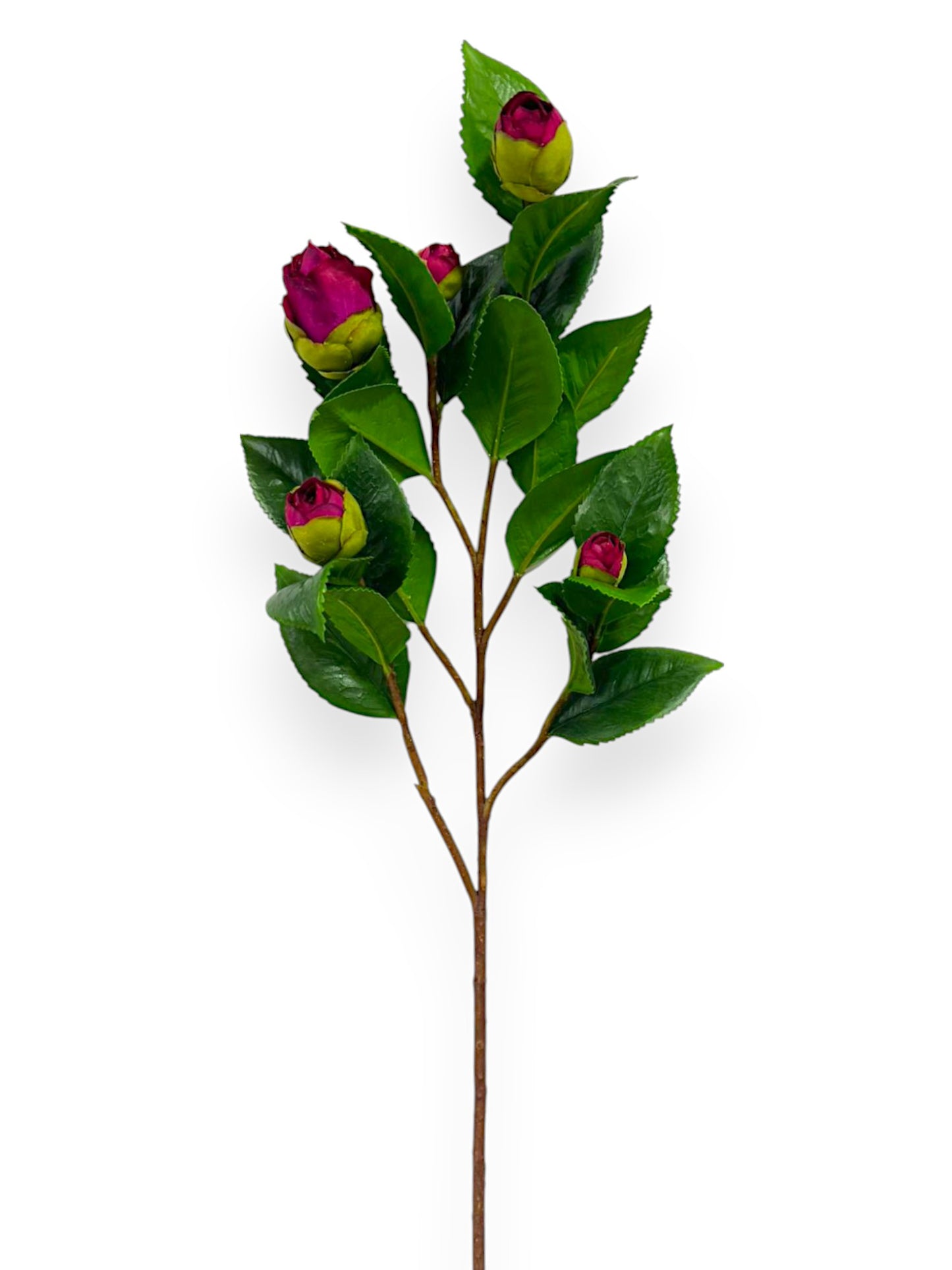 CAMELLIA BUD BRANCH 26"