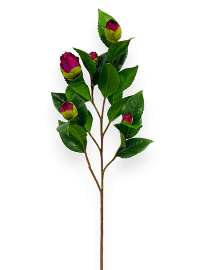 CAMELLIA BUD BRANCH 26"