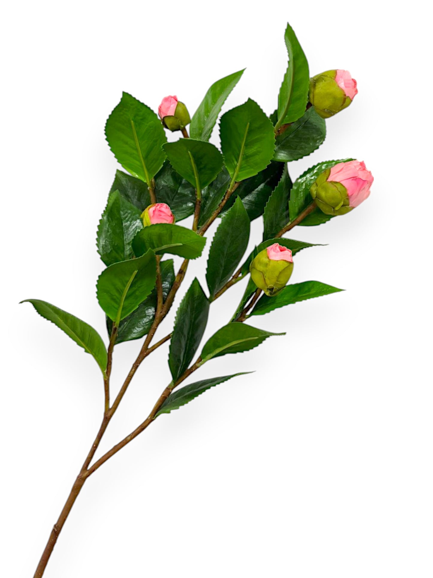 CAMELLIA BUD BRANCH 26"