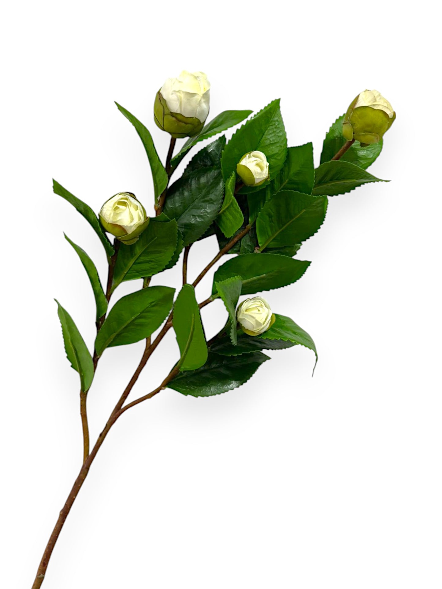 CAMELLIA BUD BRANCH 26"