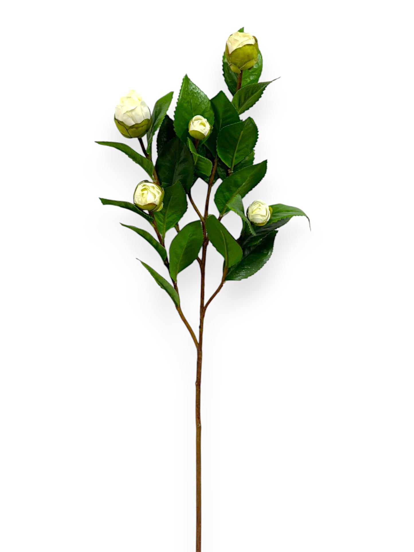CAMELLIA BUD BRANCH 26"