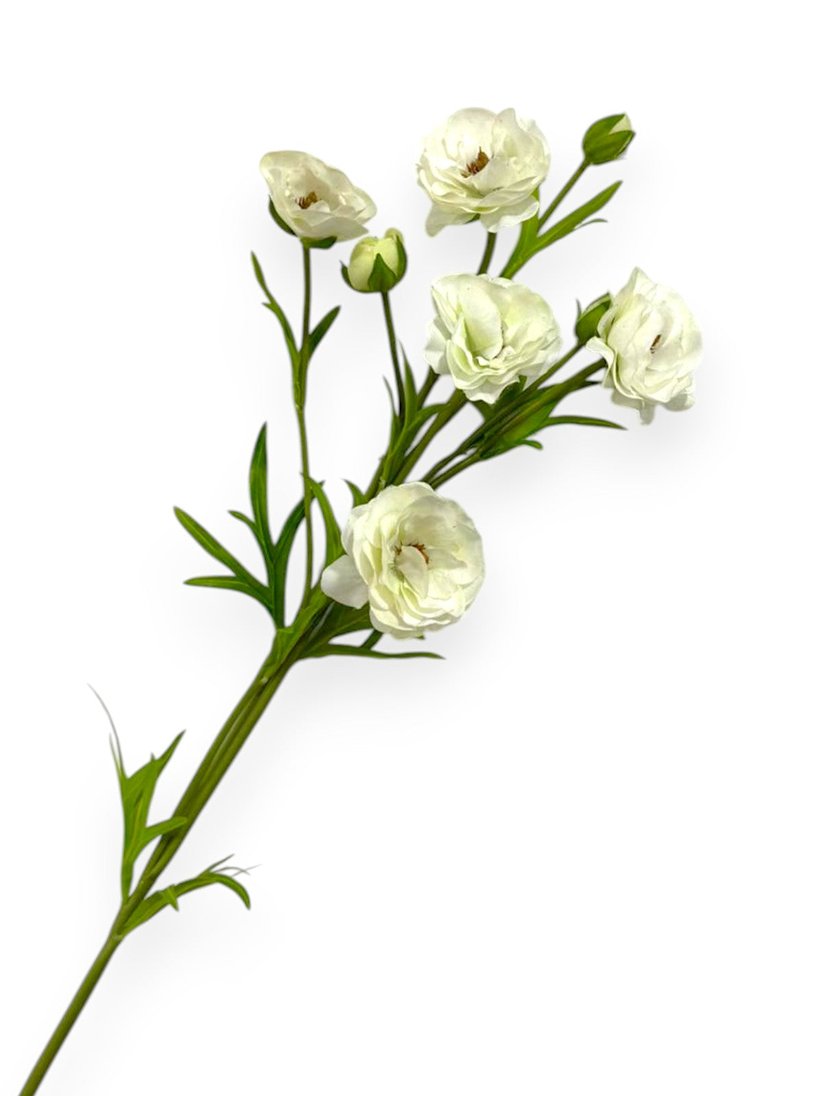 RT.RANUNCULUS SPRAY 28"