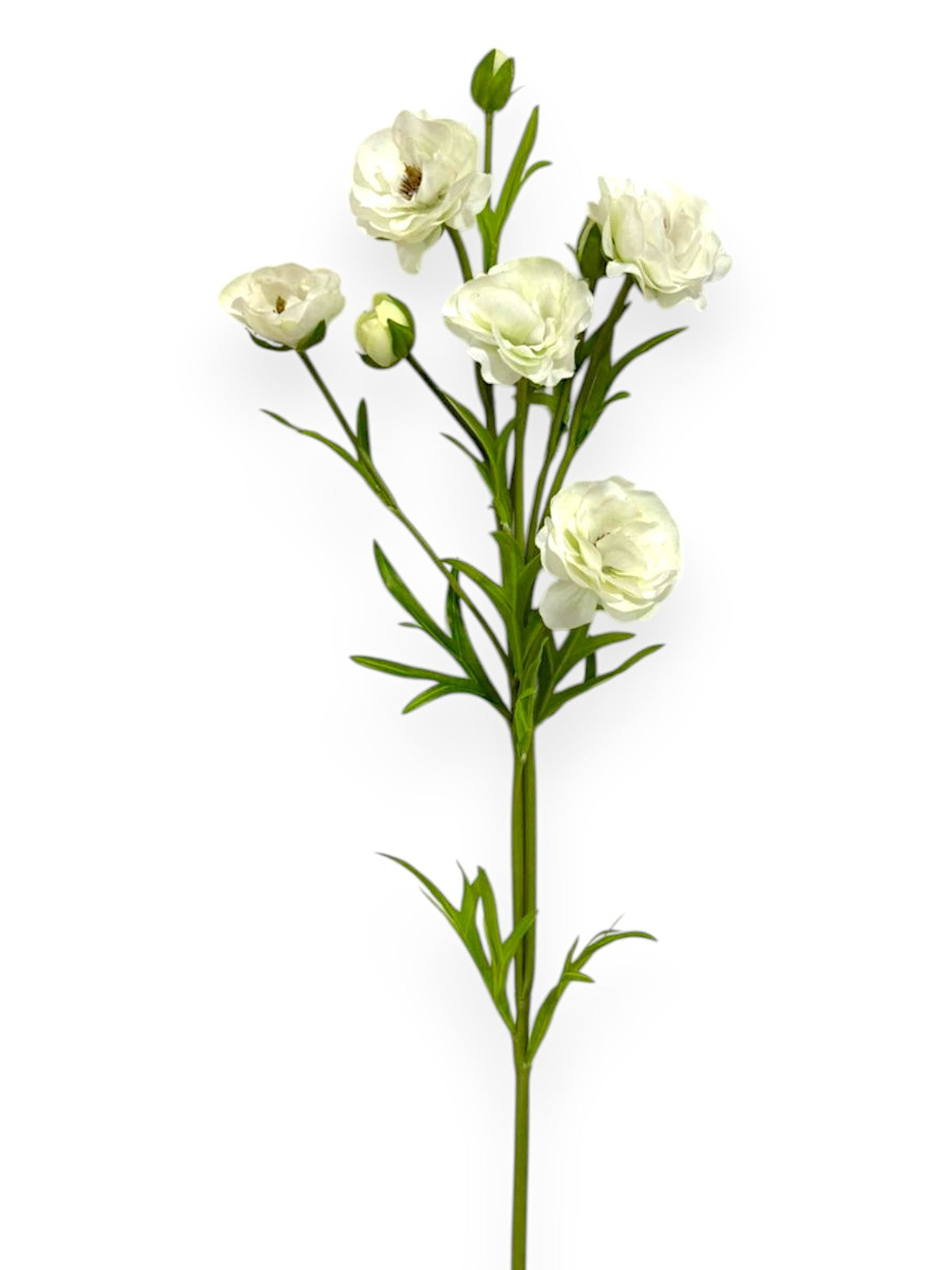 RT.RANUNCULUS SPRAY 28"