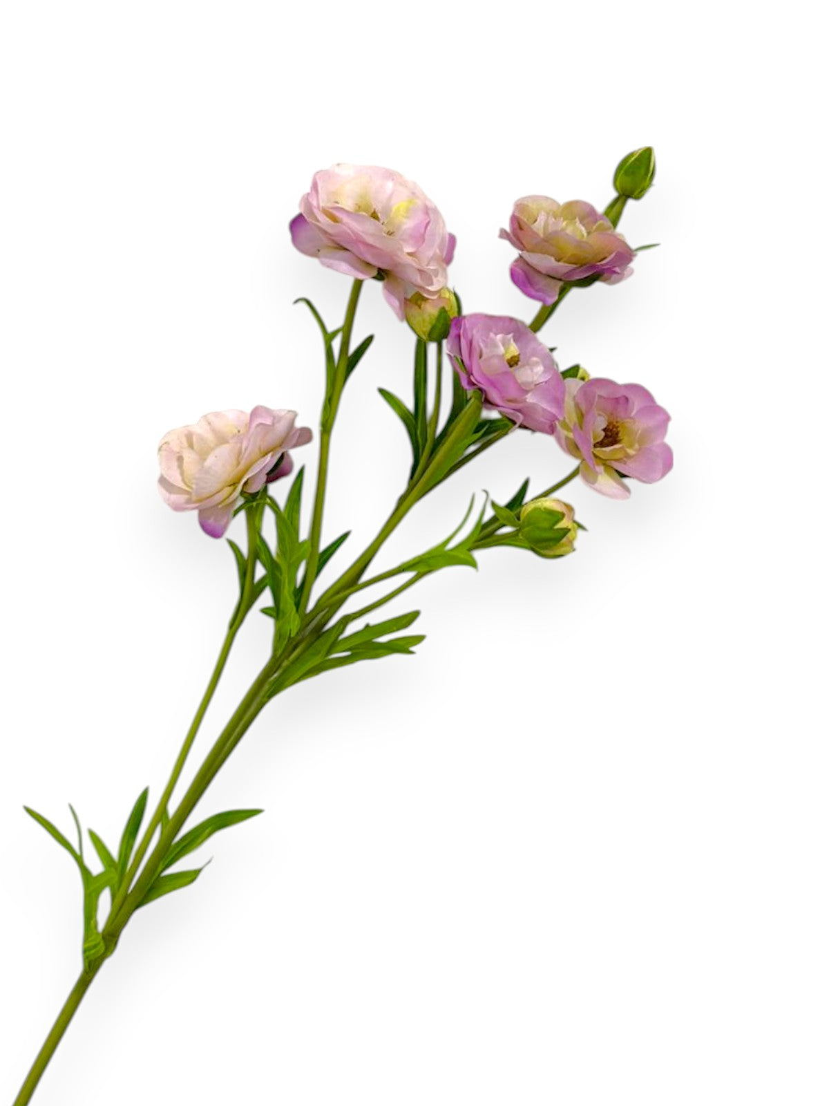 RT.RANUNCULUS SPRAY 28"