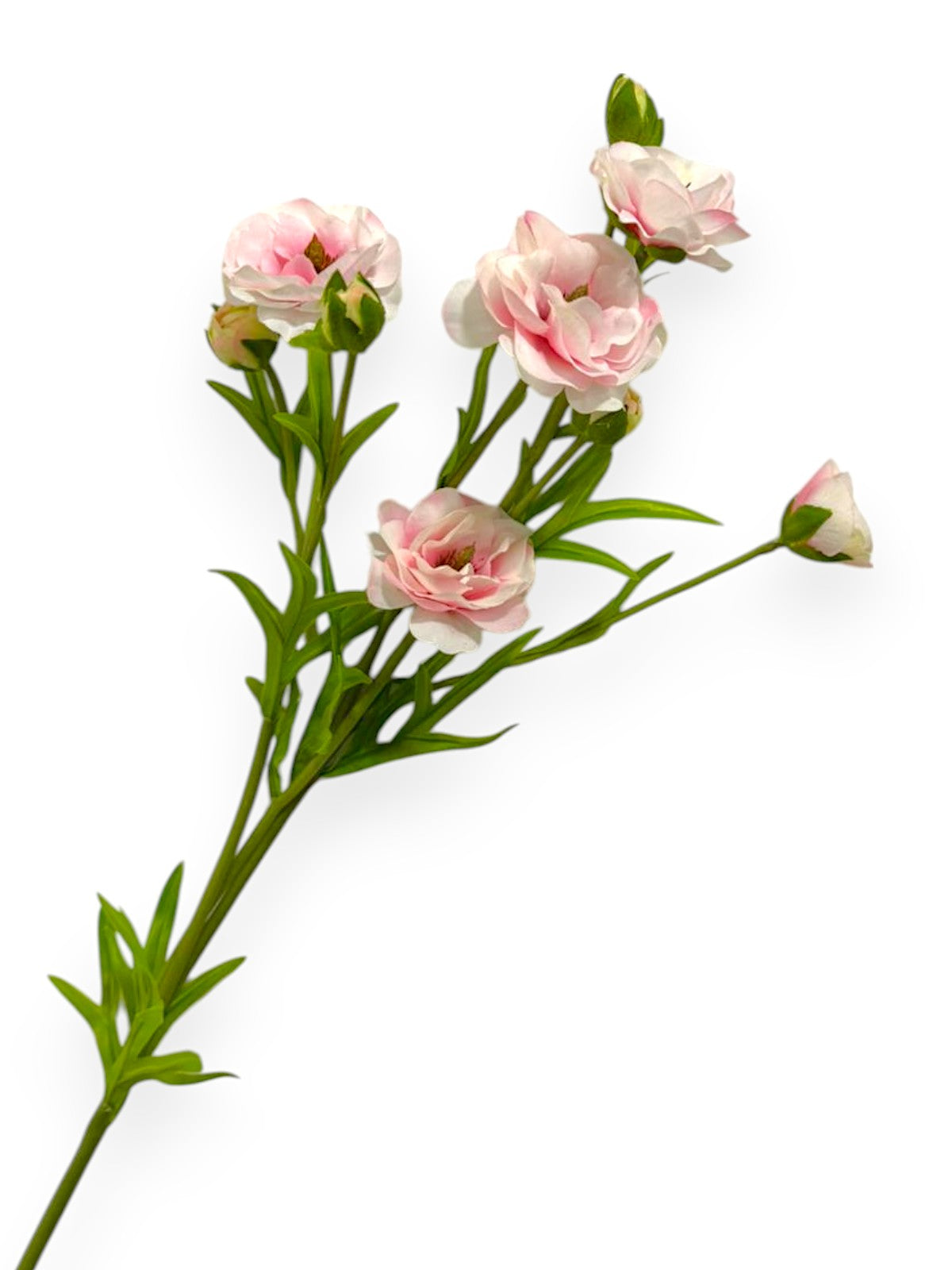 RT.RANUNCULUS SPRAY 28"