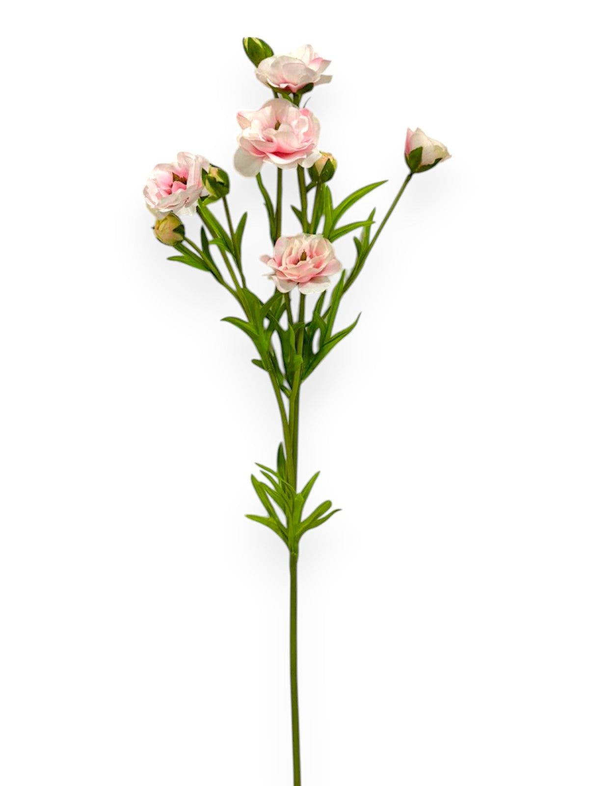 RT.RANUNCULUS SPRAY 28"