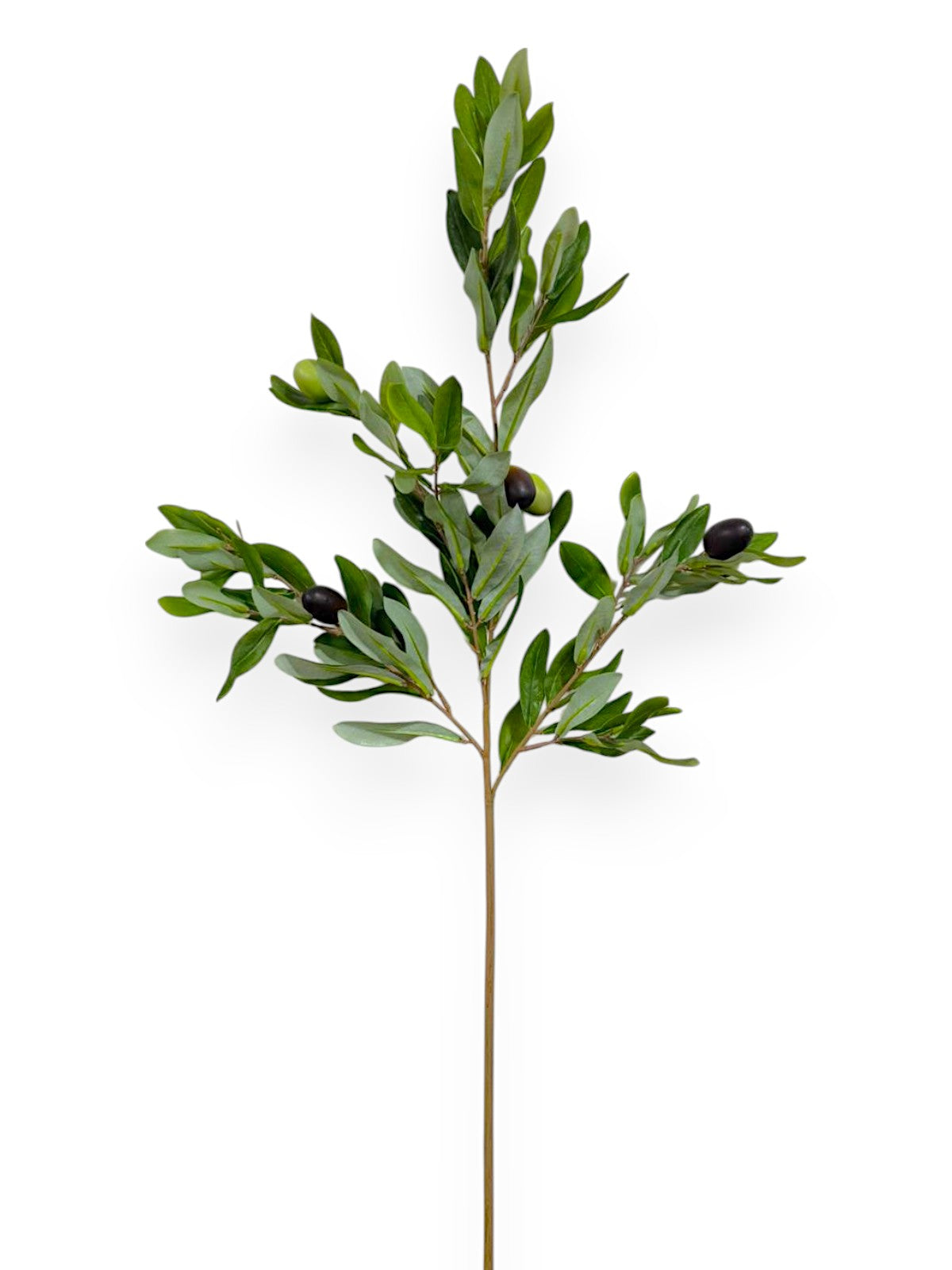 OLIVE BRANCH 32"