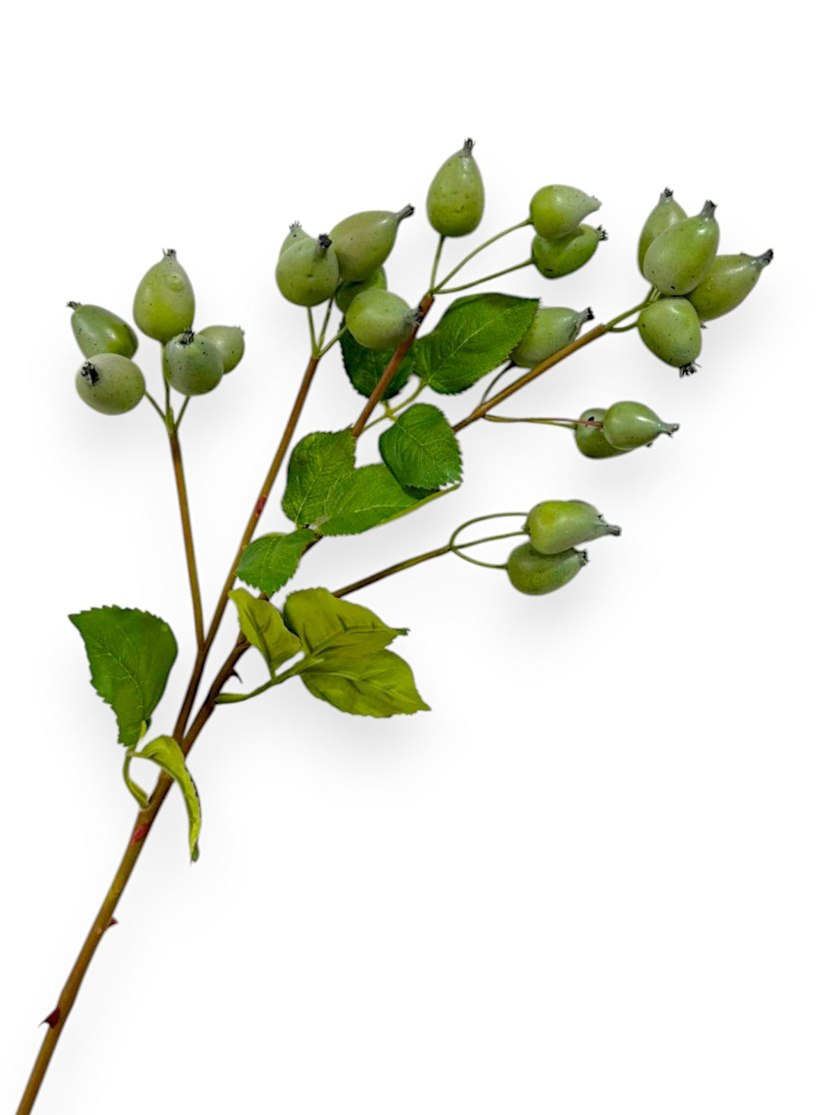 ROSE HIP SPRAY 25"