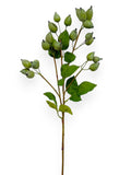 ROSE HIP SPRAY 25"