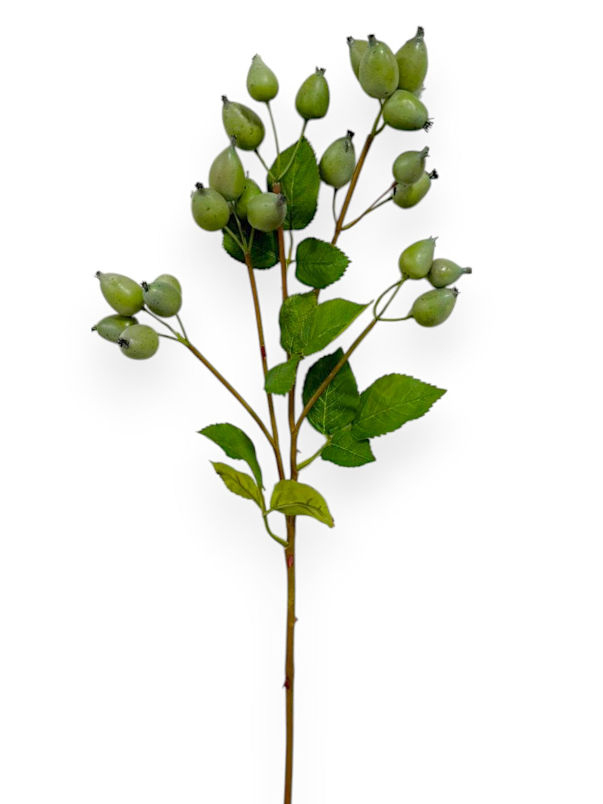 ROSE HIP SPRAY 25"