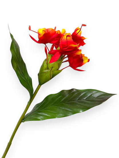 BUTTERFLY GINGER 30"