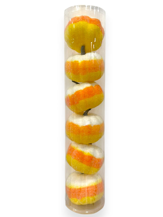 C.CAN.PUMPK 18.7X4X4 L
