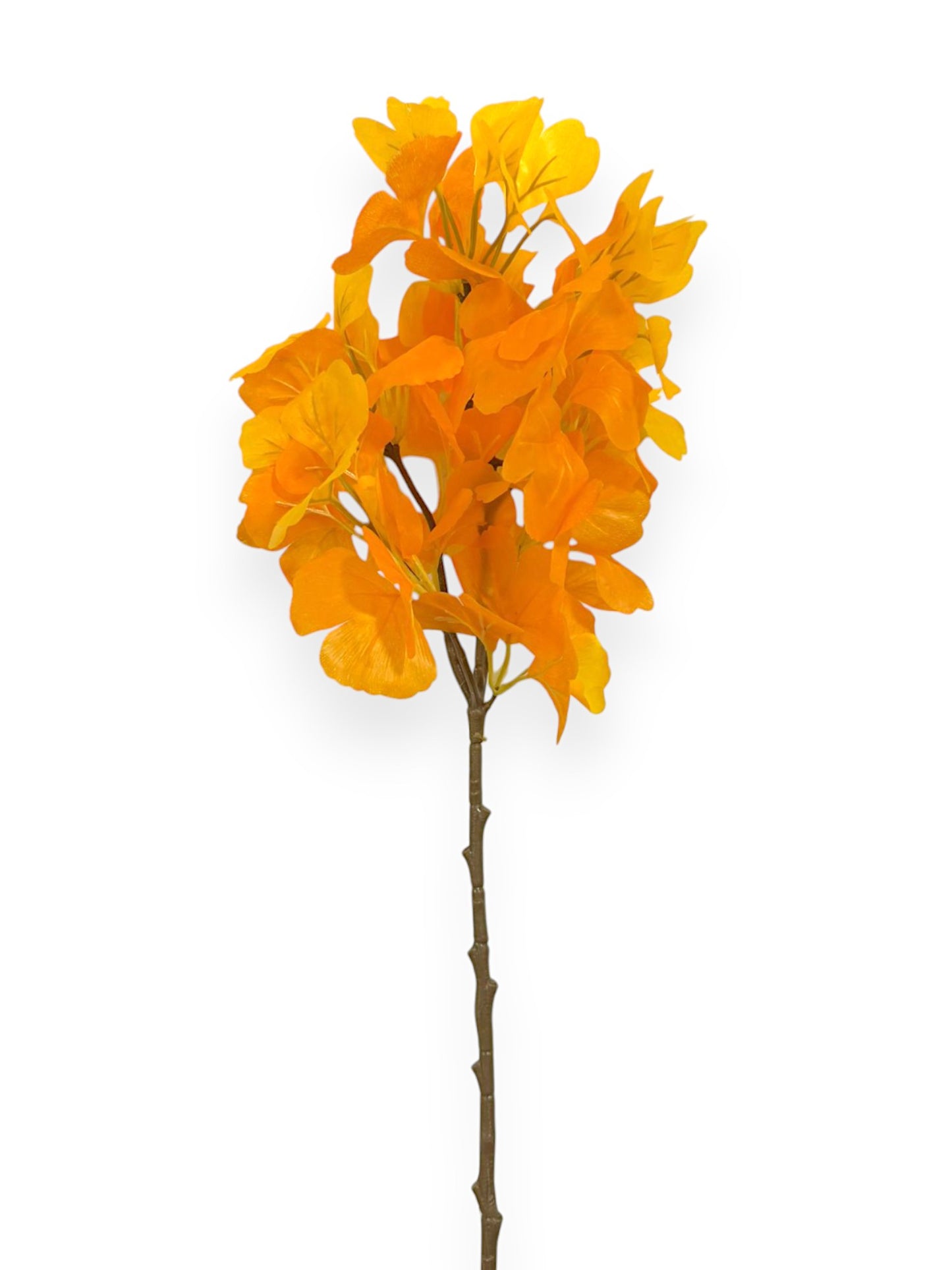 GINKO FALL LEAF 21"