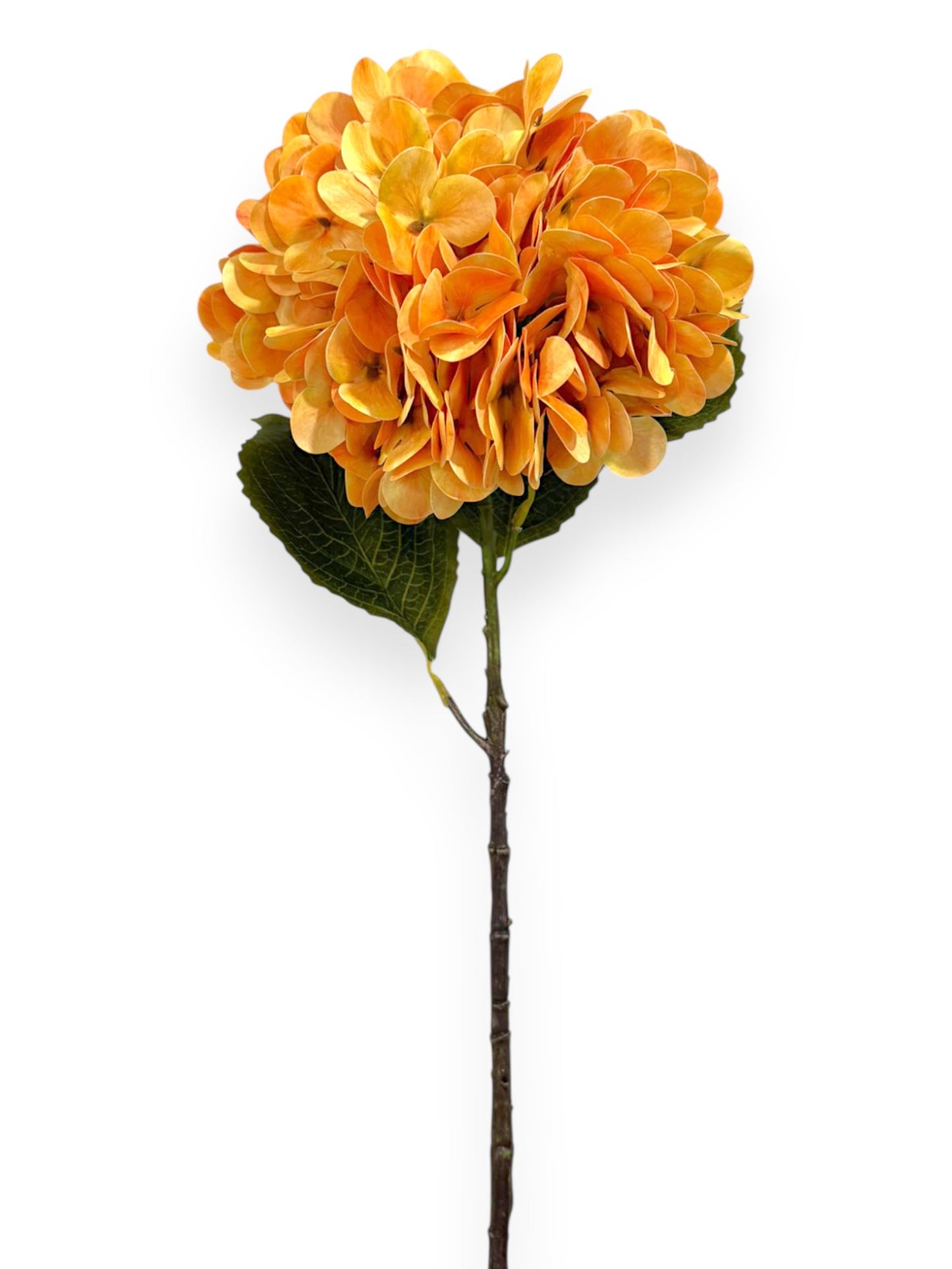 HYDRANGEA STEM 23"