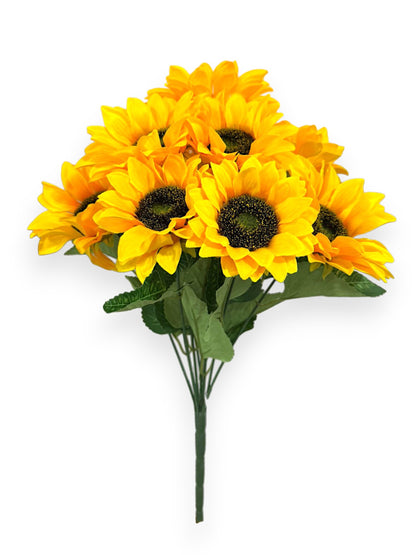 SUNFLOWER BUSHX10