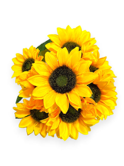 SUNFLOWER BUSHX10